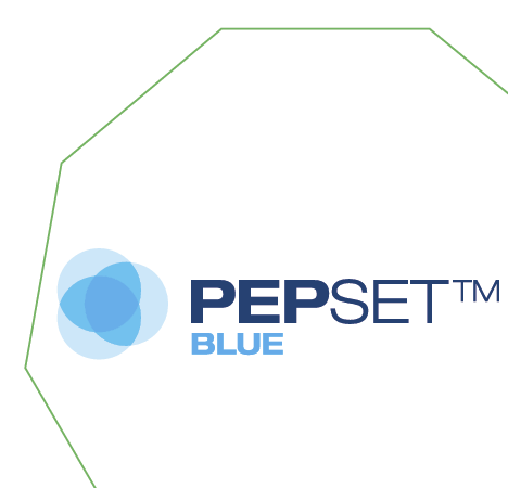 11 PEPSET BLUE 노베이크 바인더 로고